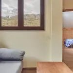 Valle Del Ibias - Segundo Izquierda Cecos